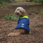 Gill Marinetails.com X Gill Dog Coat 88888X22 Blue - Image 2