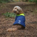 Gill Marinetails.com X Gill Dog Coat 88888X22 Blue